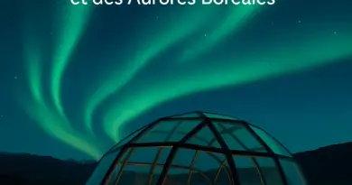 Image illustrant le contenu de l’article.