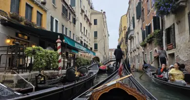 “Calm Down, Calm Down”: Venice Pickpocket Screams As American Tourist Grabs Her By The Ponytail — Here’s How To Avoid A Pickpocket - View from the Wing