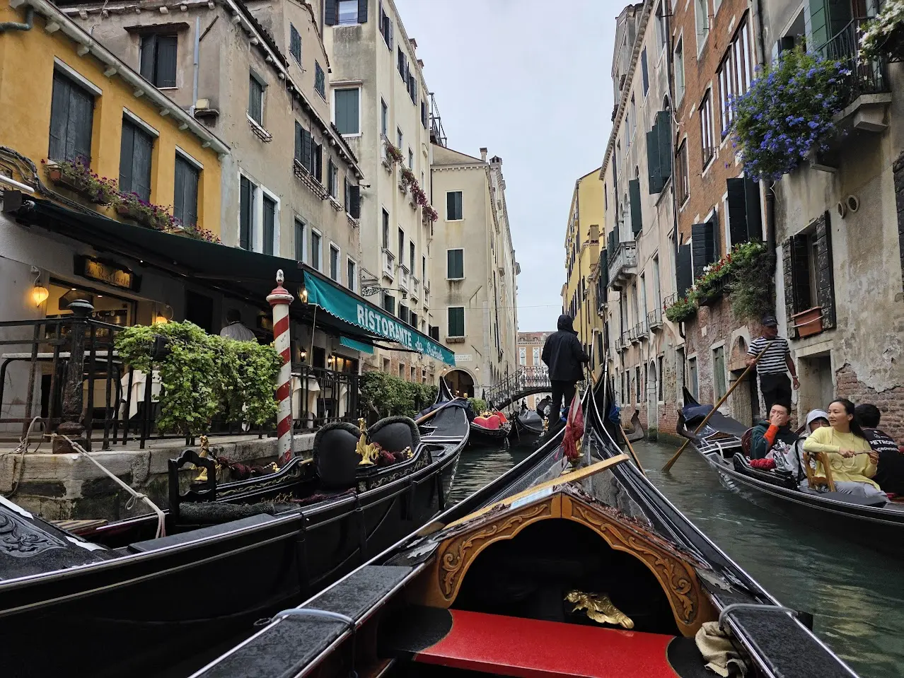 “Calm Down, Calm Down”: Venice Pickpocket Screams As American Tourist Grabs Her By The Ponytail — Here’s How To Avoid A Pickpocket - View from the Wing