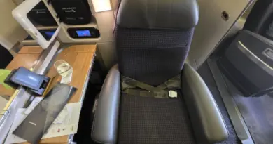 Failing WiFi, $6 Wine, And A Flight Attendant Ready To Strike—American Airlines First Class From London - View from the Wing