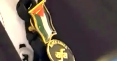 Flight Attendant On American Airlines Flight Breaks Policy To Wear Forbidden Palestinian Flag Pin - View from the Wing