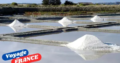 Eden en France propose une immersion dans les marais salants de Guérande, en compagnie d’un paludier - Depositphotos.com, Argentique