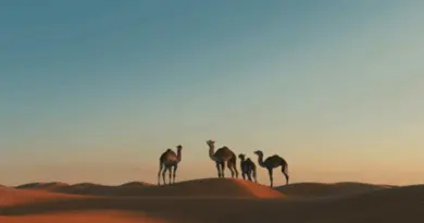 Les Trophées du Tourisme des pays du Monde Arabe aura lieu au salon IFTM Top Resa