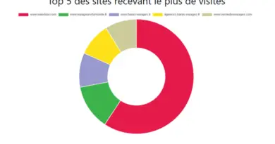 Baromètre sur le mot clé agent de voyage : Selectour toujours largement en tête