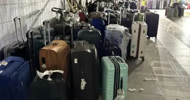 ‘All They Do Is Throw Bags’: Passenger Films Baggage Claim—But ‘This Is Customs’ - View from the Wing